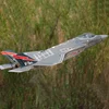 Freewing 70mm F35A Lightning II Ducted Fan EDF Jet RC Airplane Simulation Model Aviation Remote Control Aircraft Toys 4