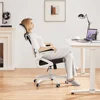 High Back Ergonomic Mesh Office Chair With Adjustable Padded Headrest White/Black Furniture Computer Armchair Chairs Gaming 1