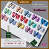 Vendeeni 15 Colors/set Colourful Crystal Aurora Cat Eye Gel Nail Polish Magnetic Gel Varnish UV LED Soak Off Gel Lacquer 1