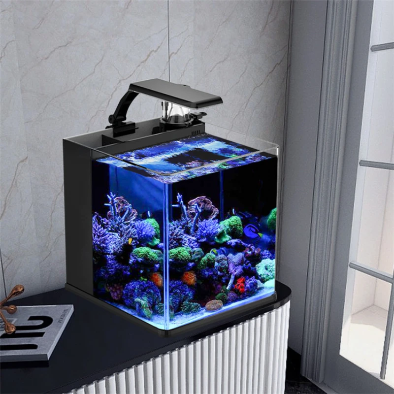 Saltwater Aquarium Fish Tanks