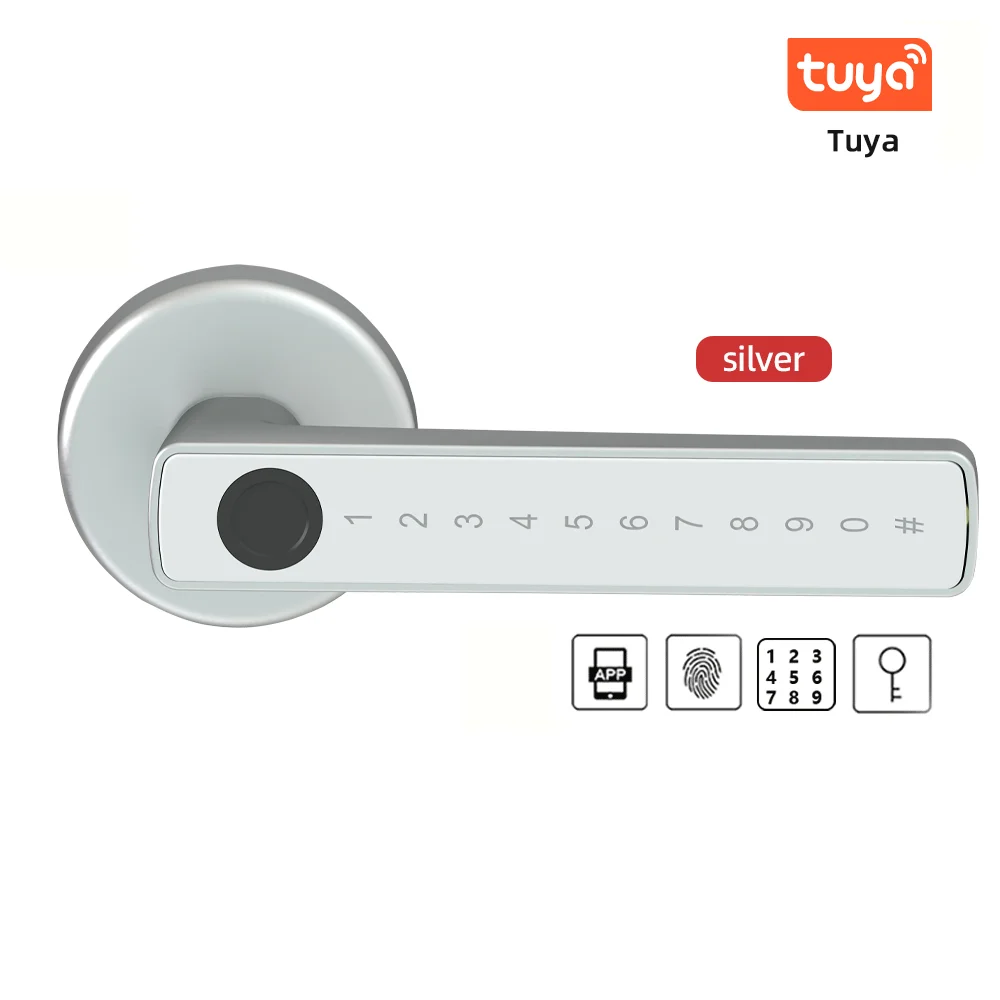 S4 TUYA Silver