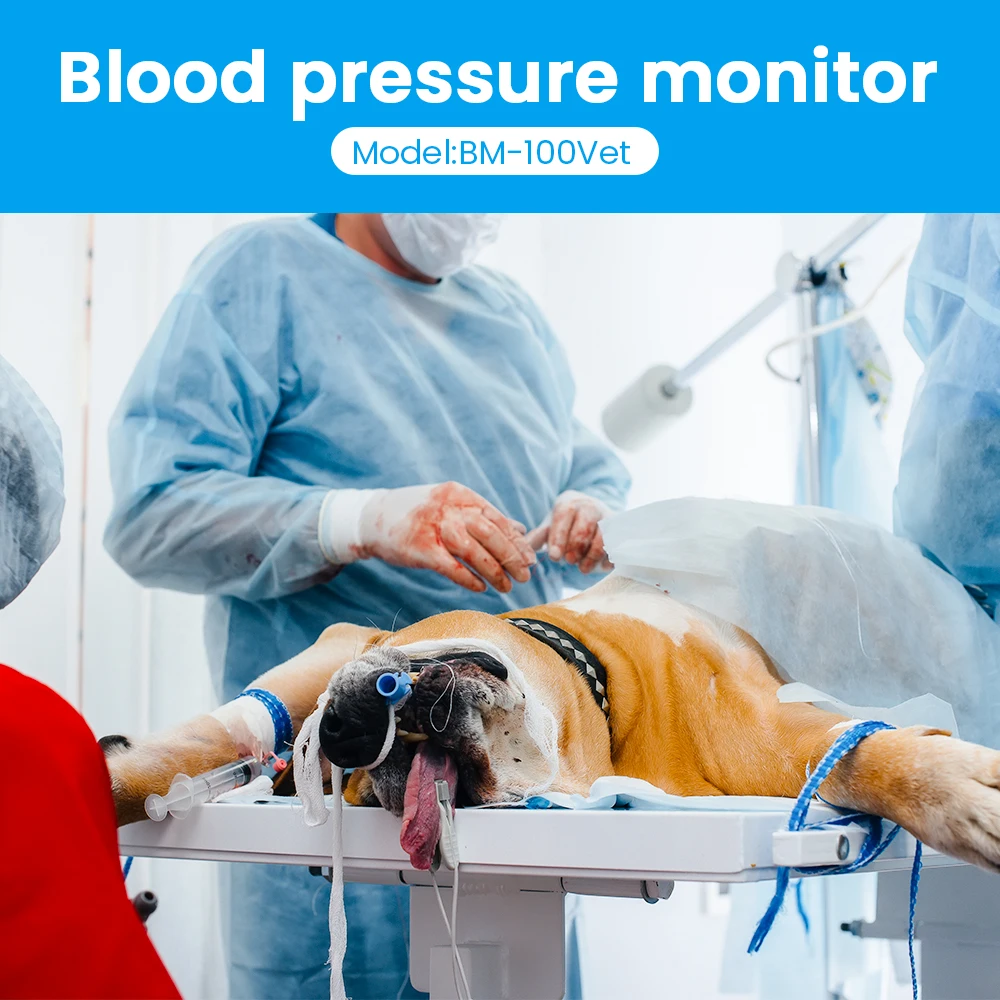 Portable Veterinary Sphygmomanometer Vet blood pressure Monitor For Pet Hospital