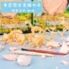 Educational Dinosaur Fossil Excavation Toys Archaeological Dig DIY Assembly Model For Children Boys Girls Birthday Xmas Gifts 2