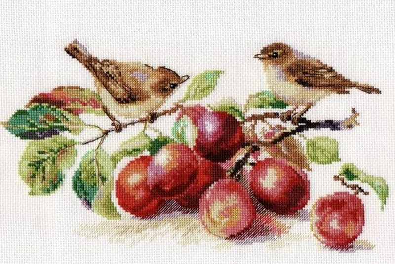 Customzied Embroidery Warblers and Plums Funny Cross Stitch Kits Australia  with 100% Cotton Floss & Free Shipping for Home Decor
