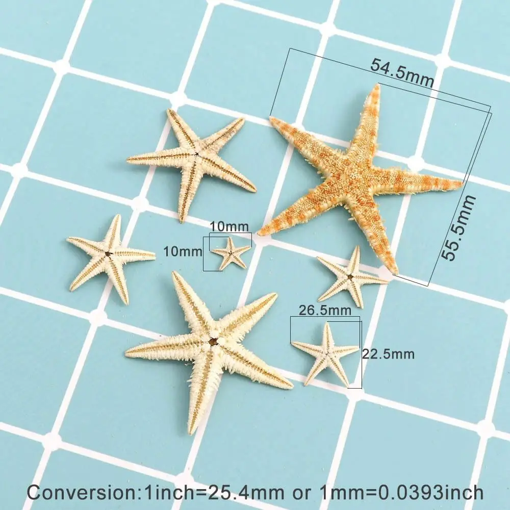 1-5CM Natural Starfish Seashell Coquillage Decoration 20/50/100PCS Boxed Aquarium Decoration Ornament Accessories