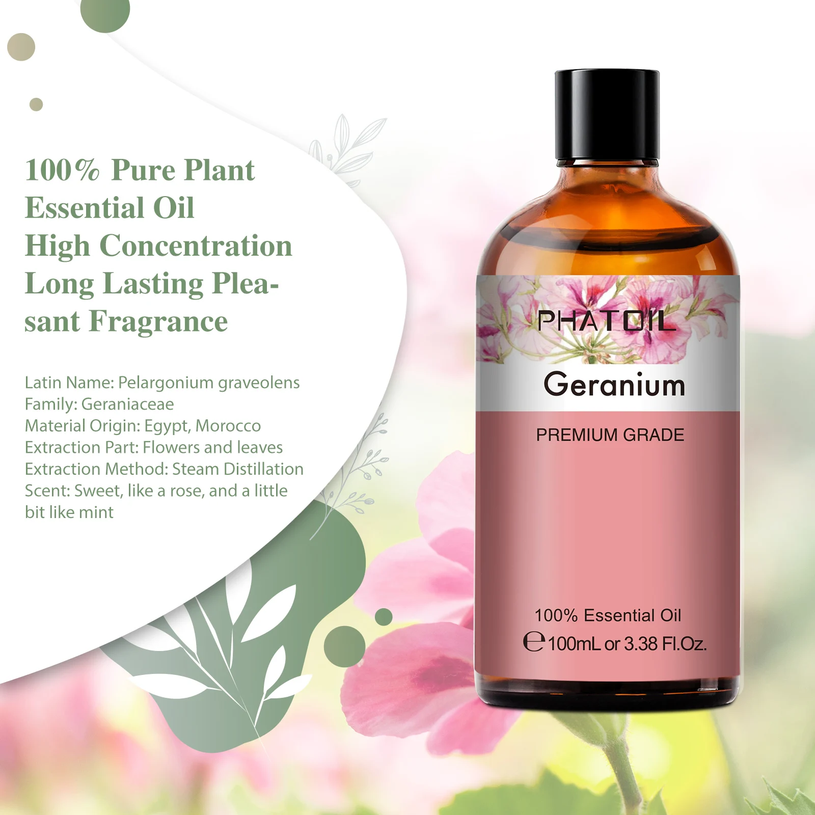 Geranium