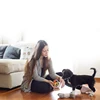 Colorful bell woven ball Rainbow toy ball Burst dog bite resistant toy rubber pet supplies 5