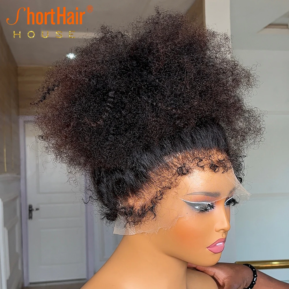 Afro Kinky Curly Wigs Human Hair 4C Kinky Edges Human Hair Wigs Invisible Knots 13x4 Lace Front 360 Full Lace Front