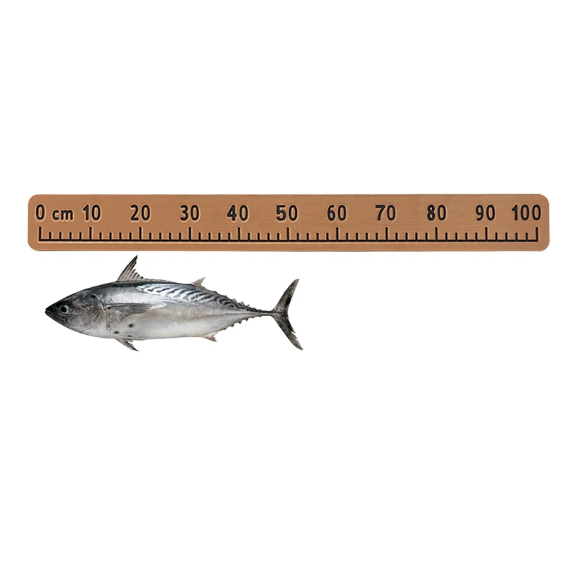 100CM Foam Boat Fish Ruler EVA Self Adhesive Fishing Measuring Sticker For Fishing  Boat Kayaks Fishing Measurement Tool - AliExpress