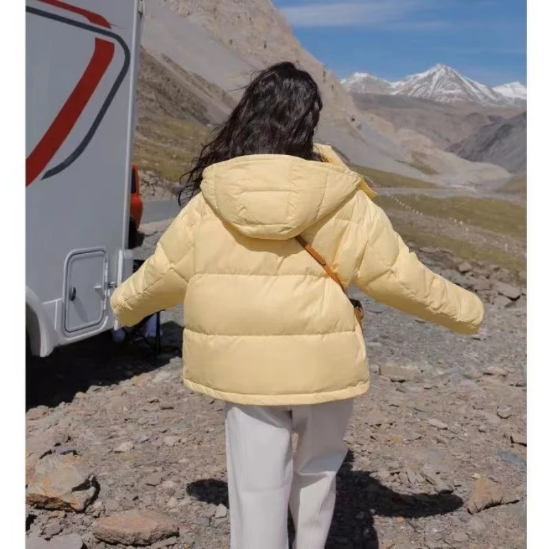 Рисунок 2 - Новинка 2023, маленькое молочно-желтое