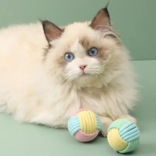 Cat Toys Cotton Balls Interactive Cat Toy Self Hi Cotton Ball Chew Toys for Cats Grinding Cat Toy Teeth Cleaning Pet Supplies 2