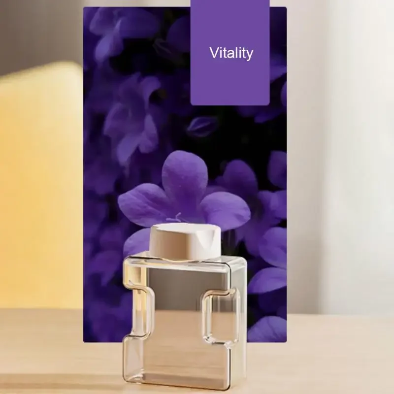 Ensembles de diffuseurs de roseaux, purificateurs d'air portables USB, diffuseur d'écran d'affichage mural, Machine de parfum de pièce, diffuseur d'huile essentielle