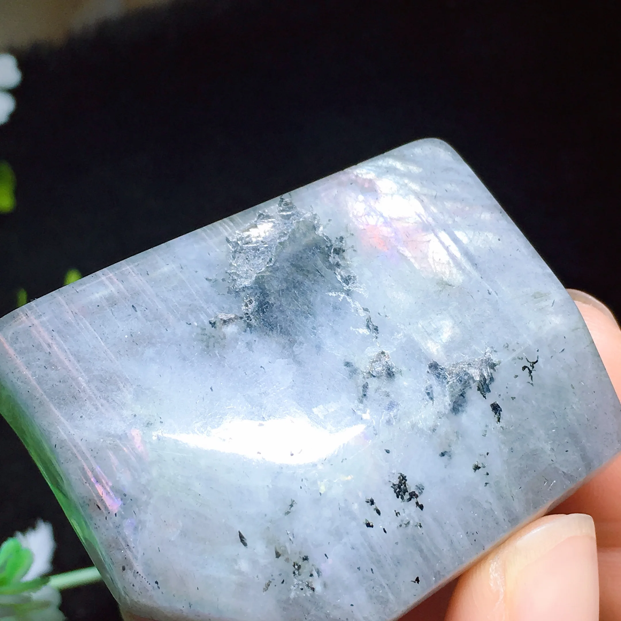 Labradorite Freedom 2429