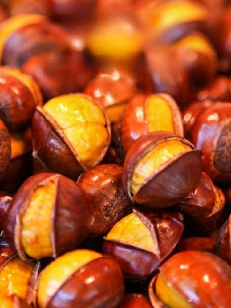 cone chestnut openers chestnut artefacts solid wood peeling raw chestnut lotus seed machine home cross open chestnut tool