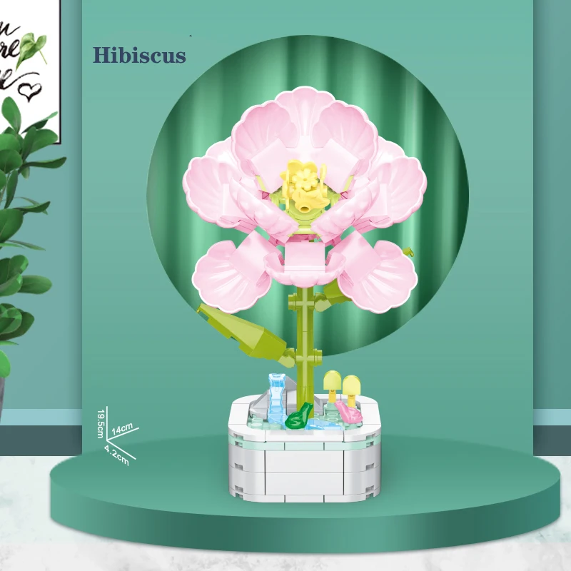 103C-Hibiscus