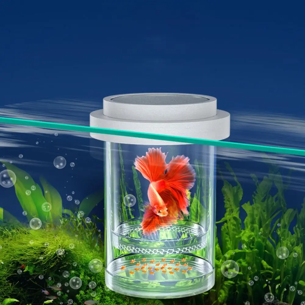 Scatola Da Cova Galleggiante A Maglia Fine/Grossa Incubatrice Da Cova Per Acquario Scatola Da Allevamento Guppy Bianca In Plastica