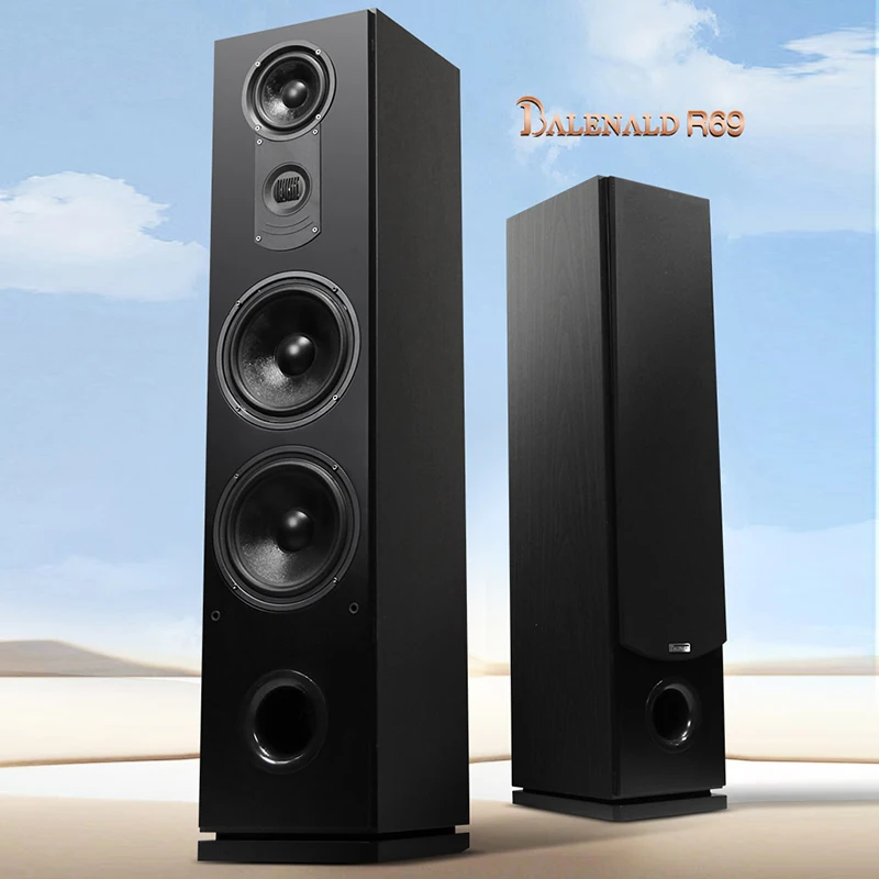 hifi speaker R69 fever household dual 8inch hifi floorstanding speakers passive floorstanding