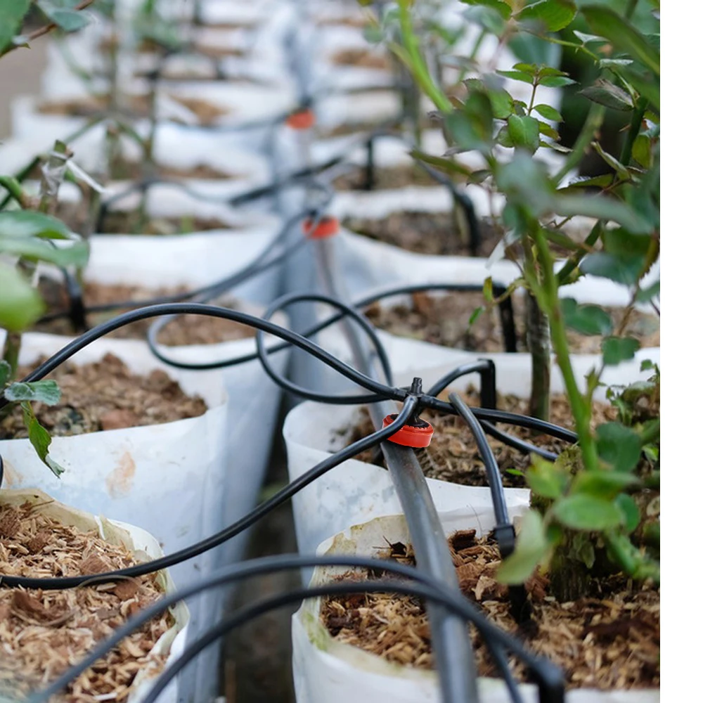 Agricultural Drip Irrigation Fitting Compensation Dripper 2L 4L 8L Pressure Compensating Emitters Bonsai Water Distributor 50PCS irrigation fittings drip irrigation garden dripper