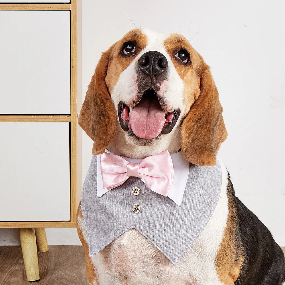 Pets Harness Vest Set - PeticaDeals