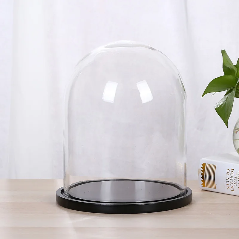 Diameter=20cm Different Height Big Size Transparent Glass Dome Vase Decoration Flat Black Base Cover DIY Gift Wedding Souvenir