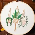 White Green