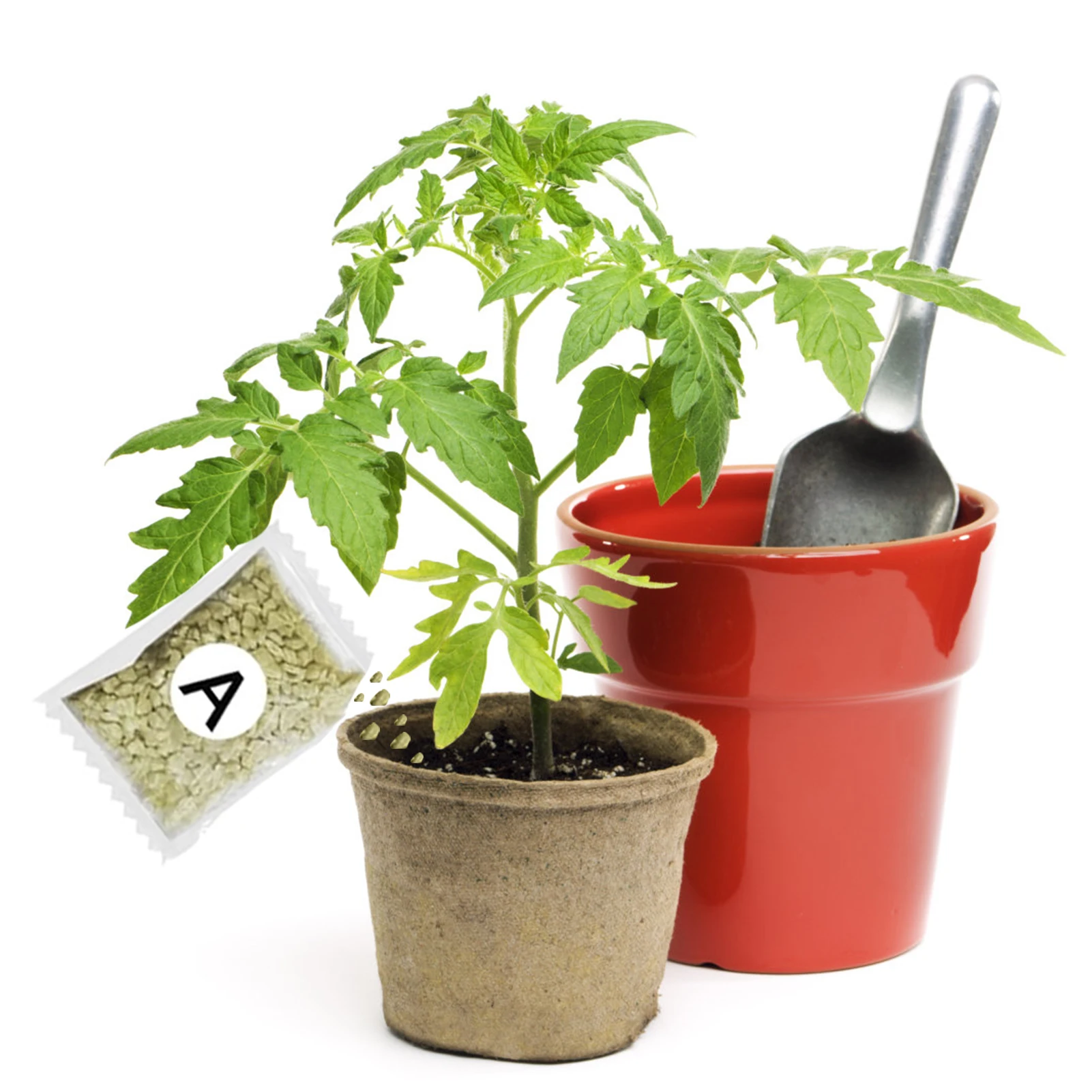 Plant Nutrient Solution Hydroponic Plant Nutrient Fertilizer Non-Polluting All-Purpose Formula A+B Two Part Set