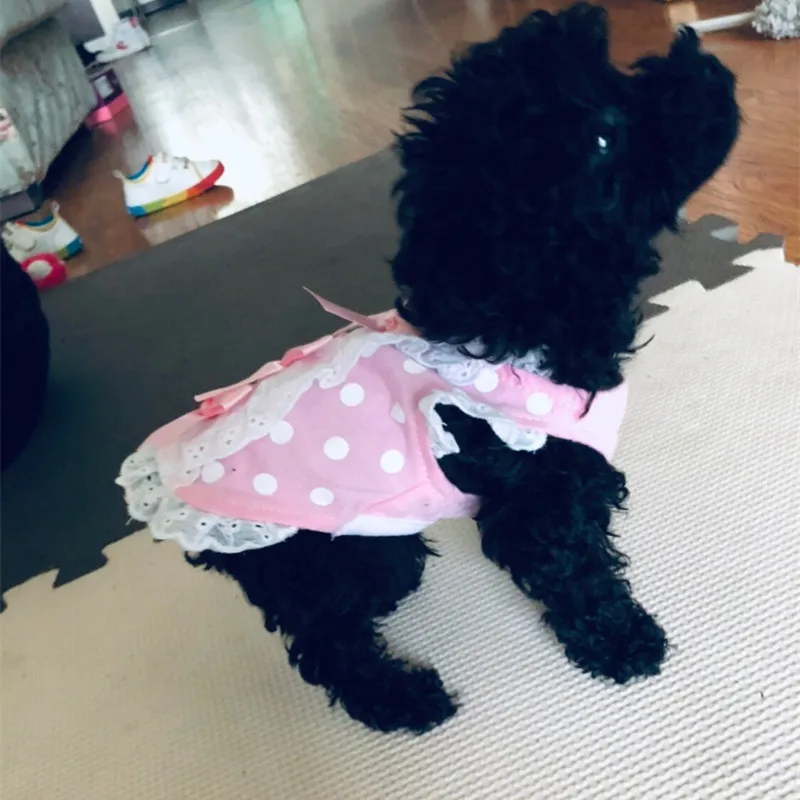 Pet Cat XXS XXXS T Shirt Dog Dress Cotton Skirt Soft Dress Yorkie Clothes for Micro Puppy Teacup Chihuahua Extra Small