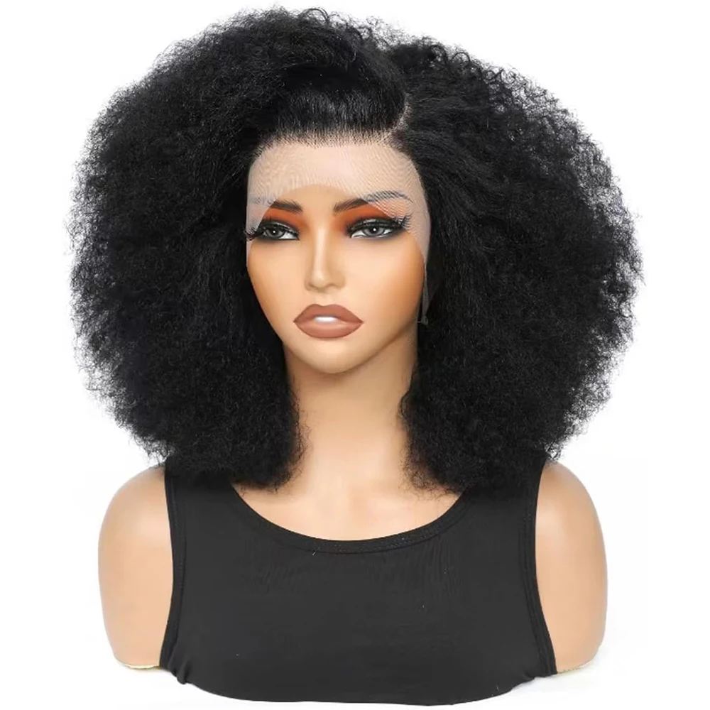 300% High Density Afro Kinky Curly Wig 13x4 HD Lace Front Wigs Human Hair Kinky Curly Lace Frontal Human Hair Wigs For Women 2