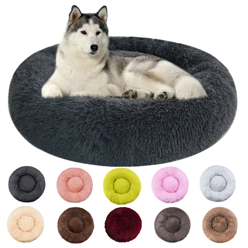 Dropshipping 2022 Best Selling Products | Dropshipping Animal Products ...
