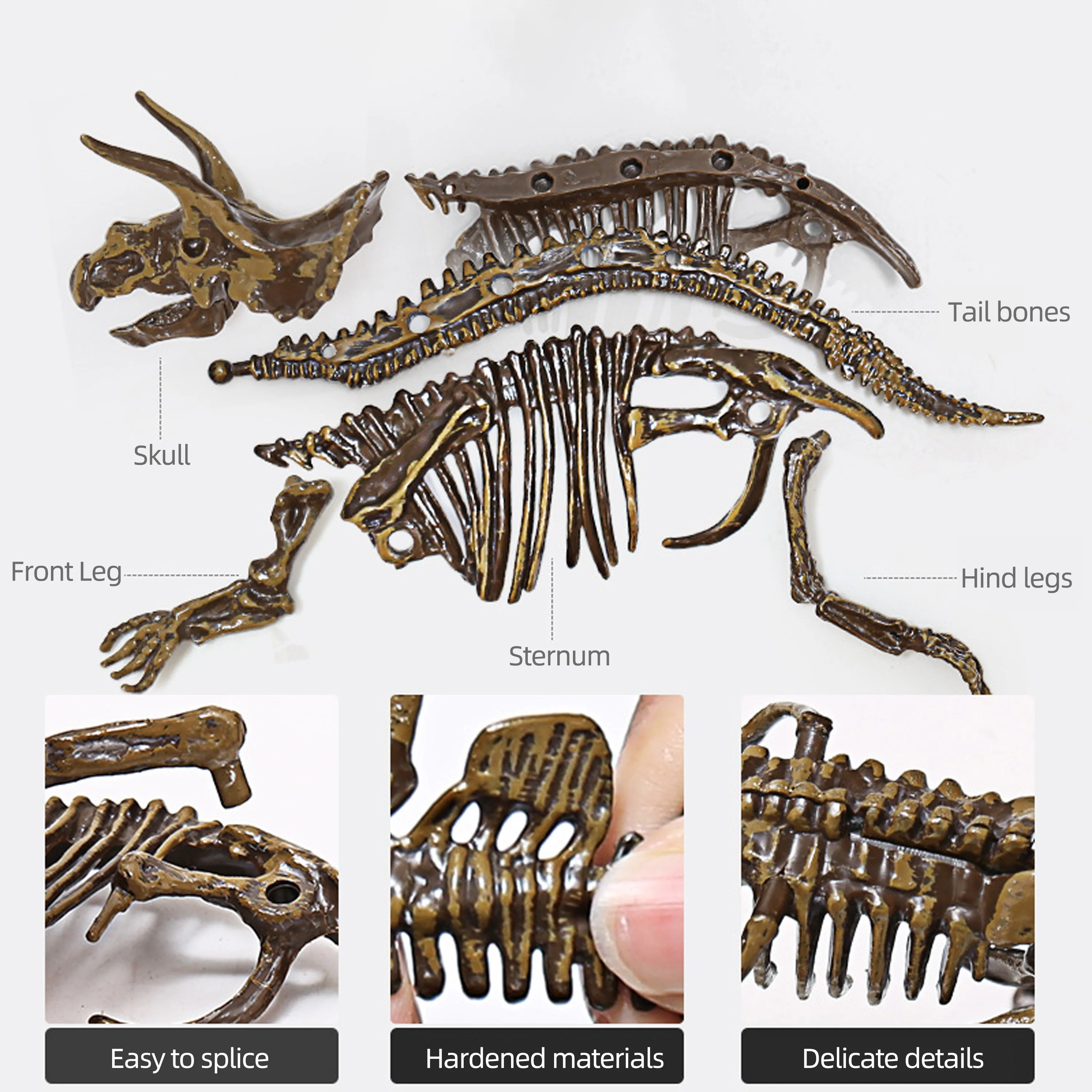 Brachiosaurus Dinosaur Fossil Excavation Toy Set with