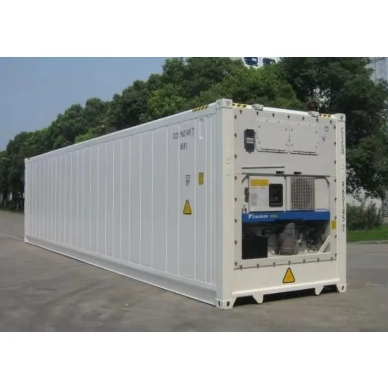 Solar Powered Mobile Cold Room 20ft Container Freezer Off Grid Walk in Storage for Meat Vegetable Fruit Customized Cold Storage 6