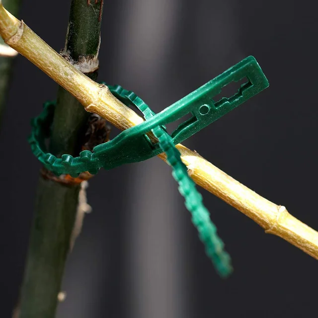 Kábelötés Önzáró Műanyag Huzalkábel Cipzárak Zöld Rögzítő Gyűrű Többcélú Hal Csontkert Kötő Kábel Nyakkendő - Image 2