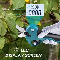 Sécateur électrique sans fil 21V, cisaille de taille efficace pour arbres fruitiers et bonsaïs, coupe-branches, outils de jardinage avec 2 batteries 4