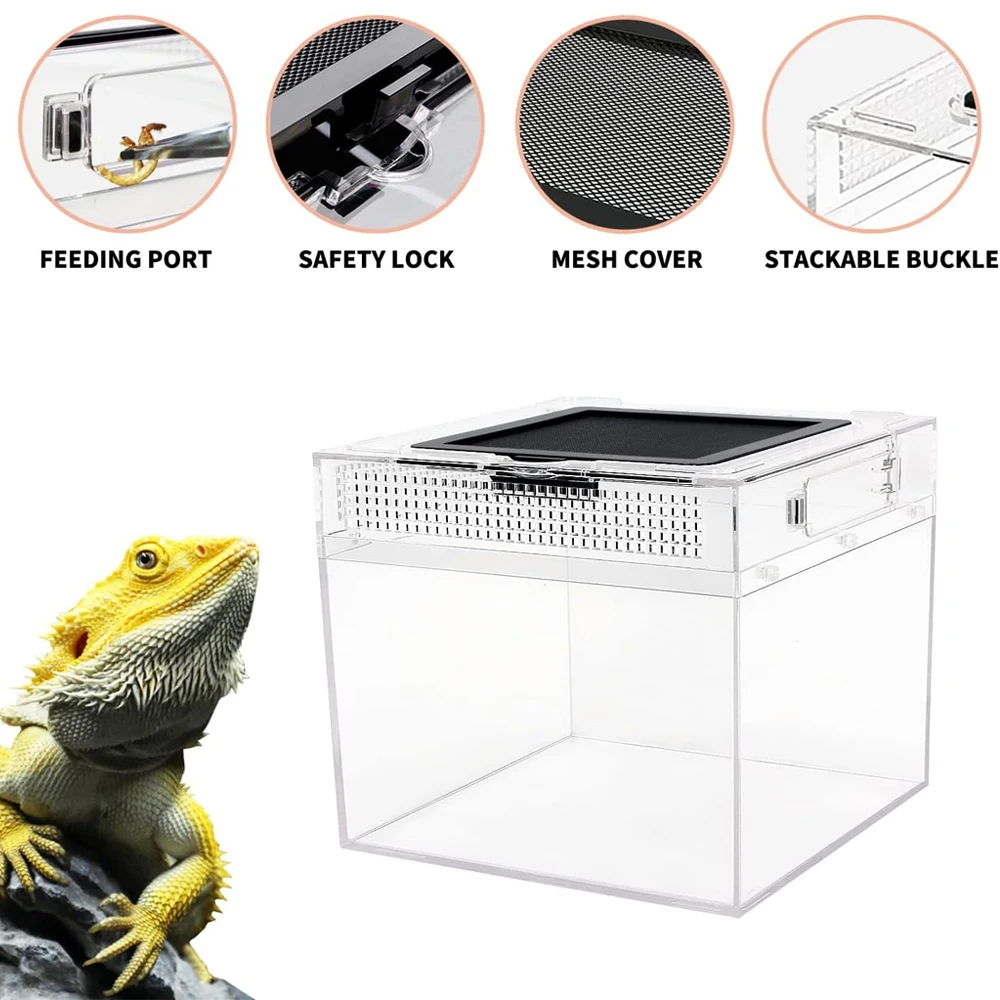 Transparent Reptile Feeding Box 4