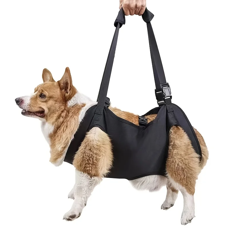 Dog Support Lift 1