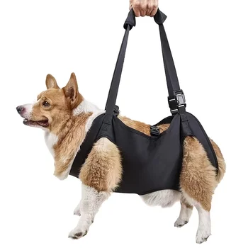 Dog Support Lift 1