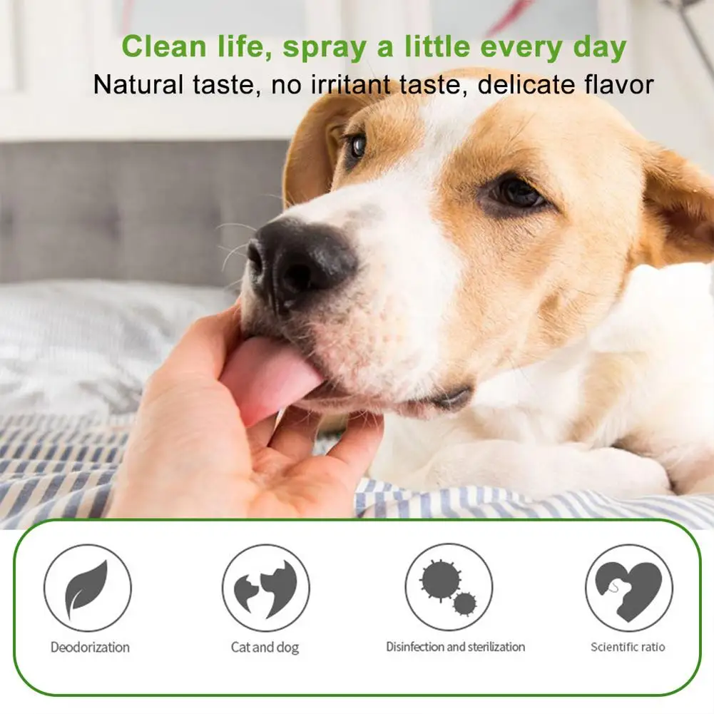 Can You Temporarily Put Perfume On A Dog