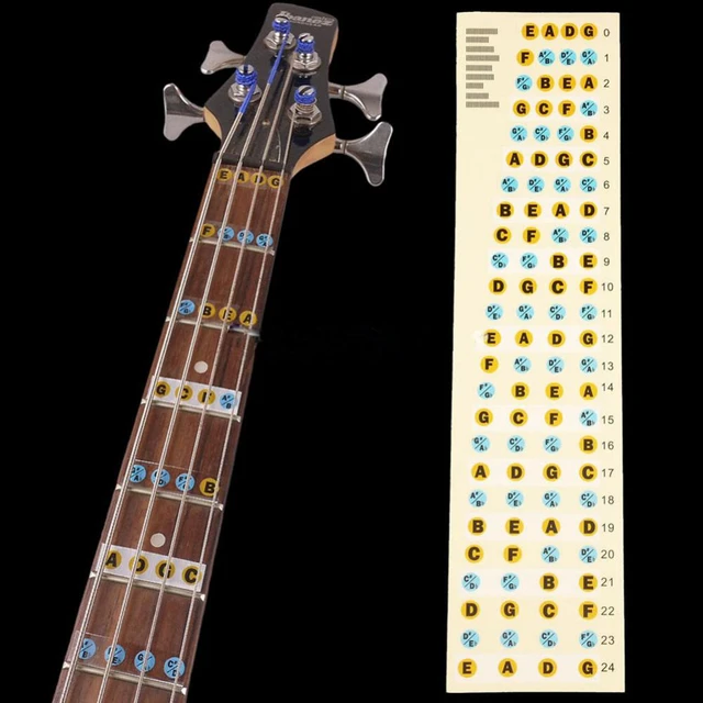 5 String Bass Fretboard Notes