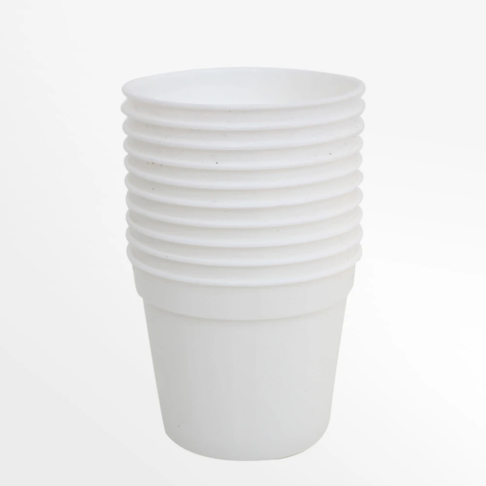 white-10PCS