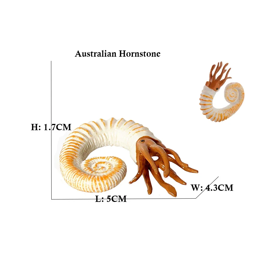 Sea Life Animal Figurine Set - Nautilus, Cameroceras, Ammonites, and More