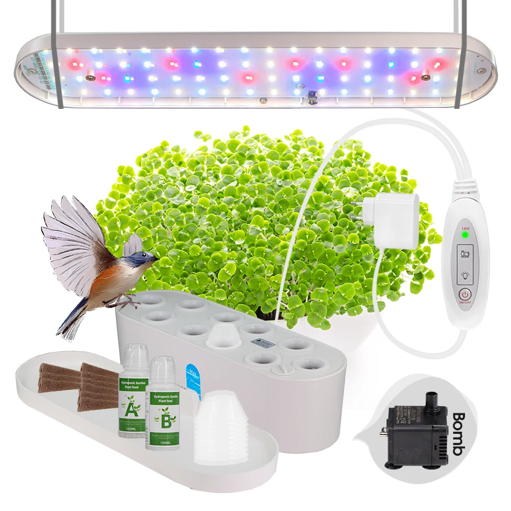 

10-Pod 2.5L Tank LED Grow Light Гидропоника Система выращивания Питательные удобрения Детская почва Корзина с насосом Таймер Комплект Крытый сад Посадка овощей Травы Цветы Травы