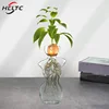 Transparent Glass Body Vase Avocado Seed Starters Vase Seed Growing Kit Avocado Vase For Gardening Lovers Home Decor 1