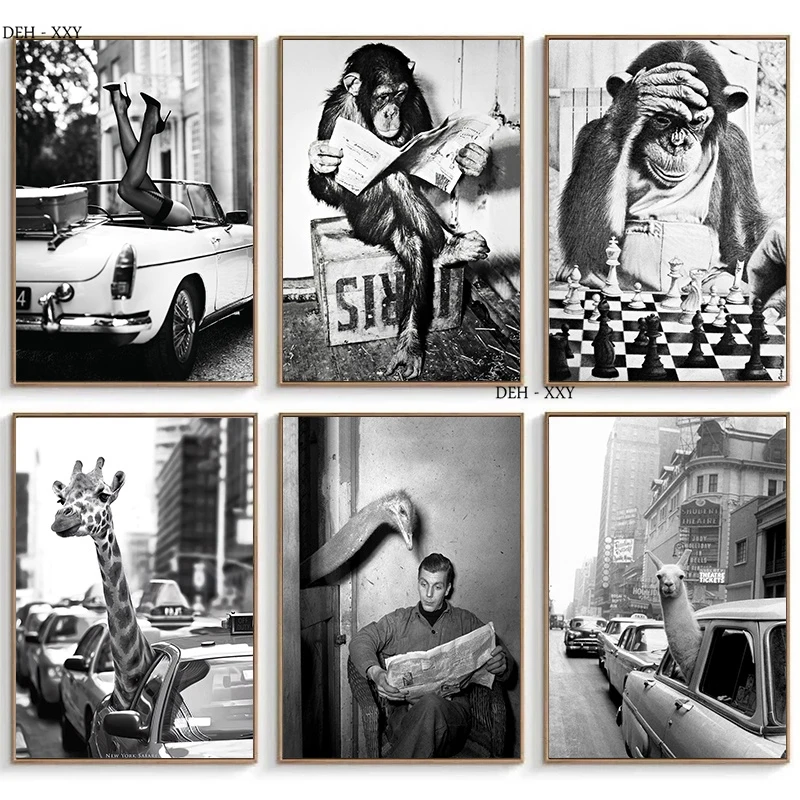 

Funny Monkey Business Reading Newspaper Canvas Posters Alpaca Giraffe In A Texi Canvas Painting Black White Wall Art Pictures