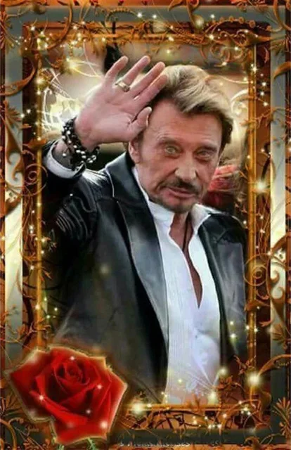5D DIY Diamond Painting Johnny Hallyday Cross Stitch Artcraft wolf flower Embroidery Soul Singer Rhinestones Picture Unique Gift 