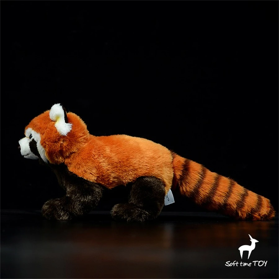 Amazon.co.jp: 【Amazon.co.jp 限定】ハズブロ(HASBRO) ファー