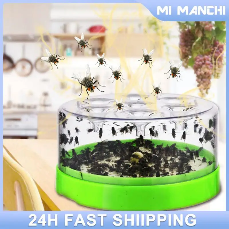 Dewormer Contenente Esca Green Pest Reject Fly Trap Fly Trap Fly Trap Device Flycatcher Indoor Single Fly Killer A Prova Di Caduta