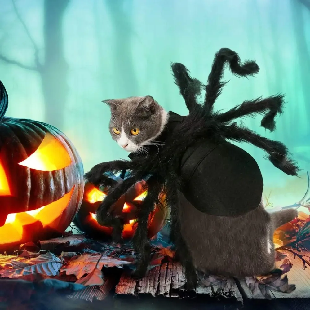 Adjustable Spider Costume for Cats and Dogs 2