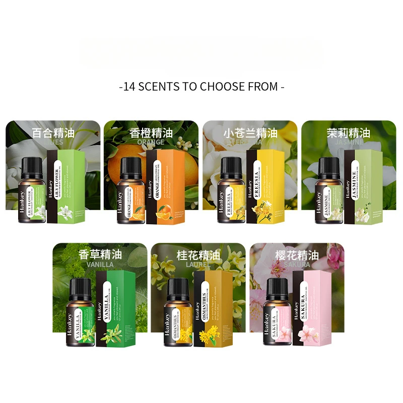 Home Fragrance Products 10ml Water-Soluble Aromatherapy Oil Multiple Scents Cozy Home Atmosphere Humidifiers & Flameless Diffusers
