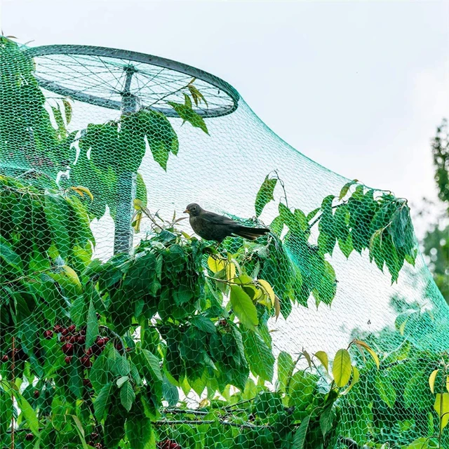 20/10M Anti Bird Protection Net Mesh Garden Plant Nettting 2