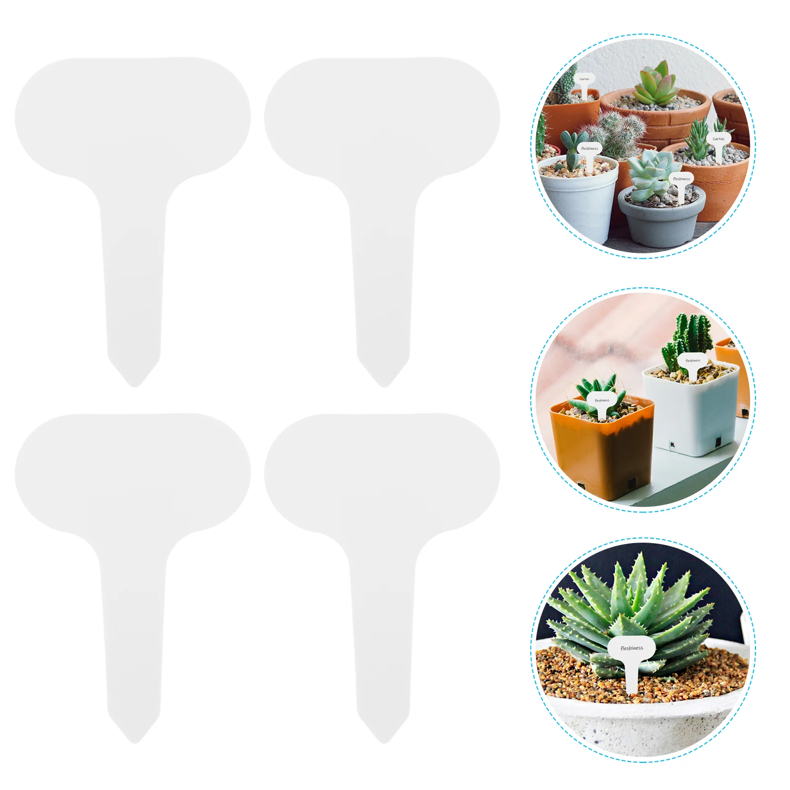 

100 Pcs Potted Plant Sign Succulent Planters Signs Garden Tags Label Stakes Plastic Labels Markers for Seedlings